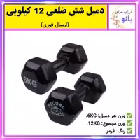 دمبل بدنسازی شش ضلعی12کیلویی رنگ قرمز برند رکورد وزن هر کدام 6 کیلوگرم(جمعنا 12 کیلو گرم) (ارسال فوری و رایگان).