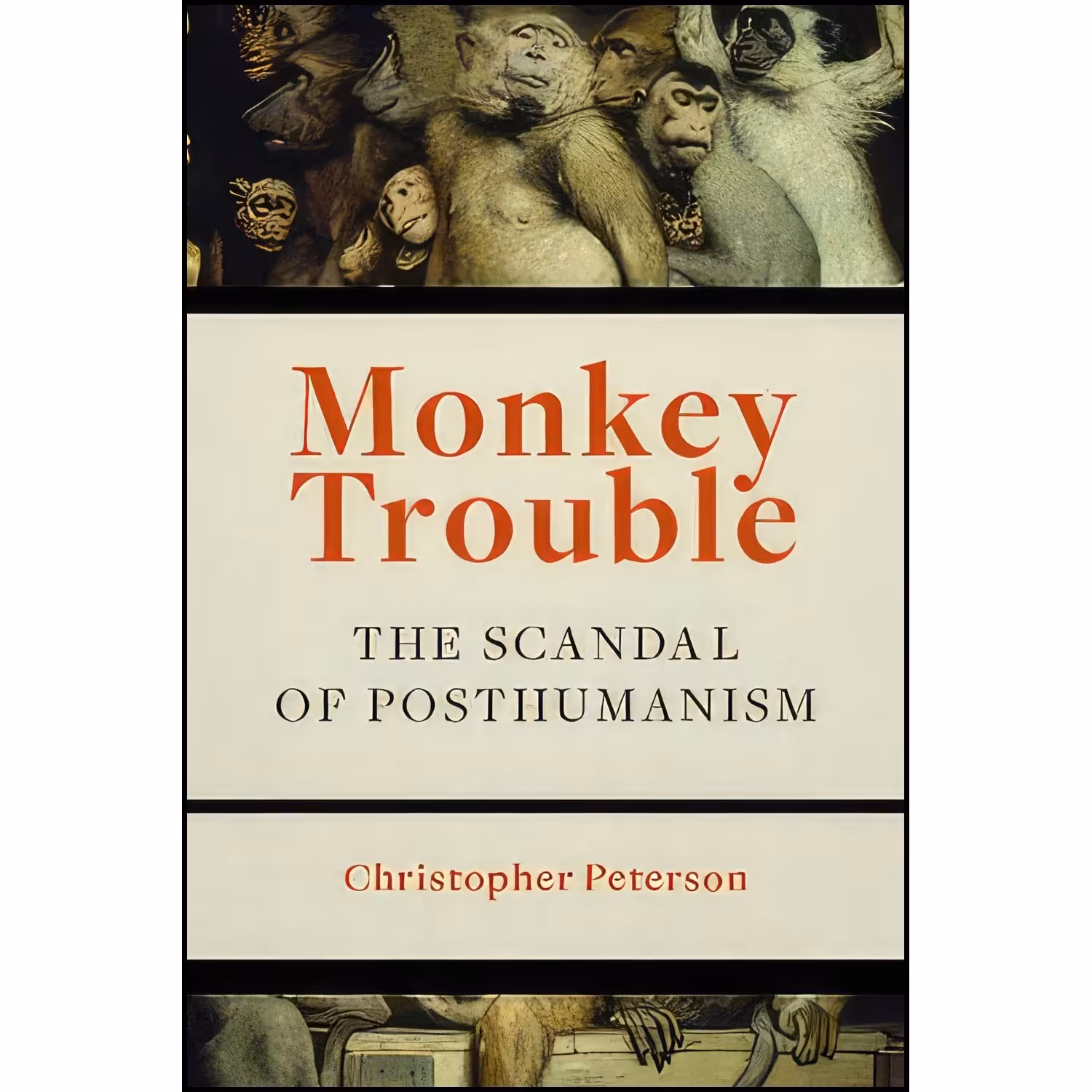 کتاب زبان اصلی Monkey Trouble اثر Christopher Peterson