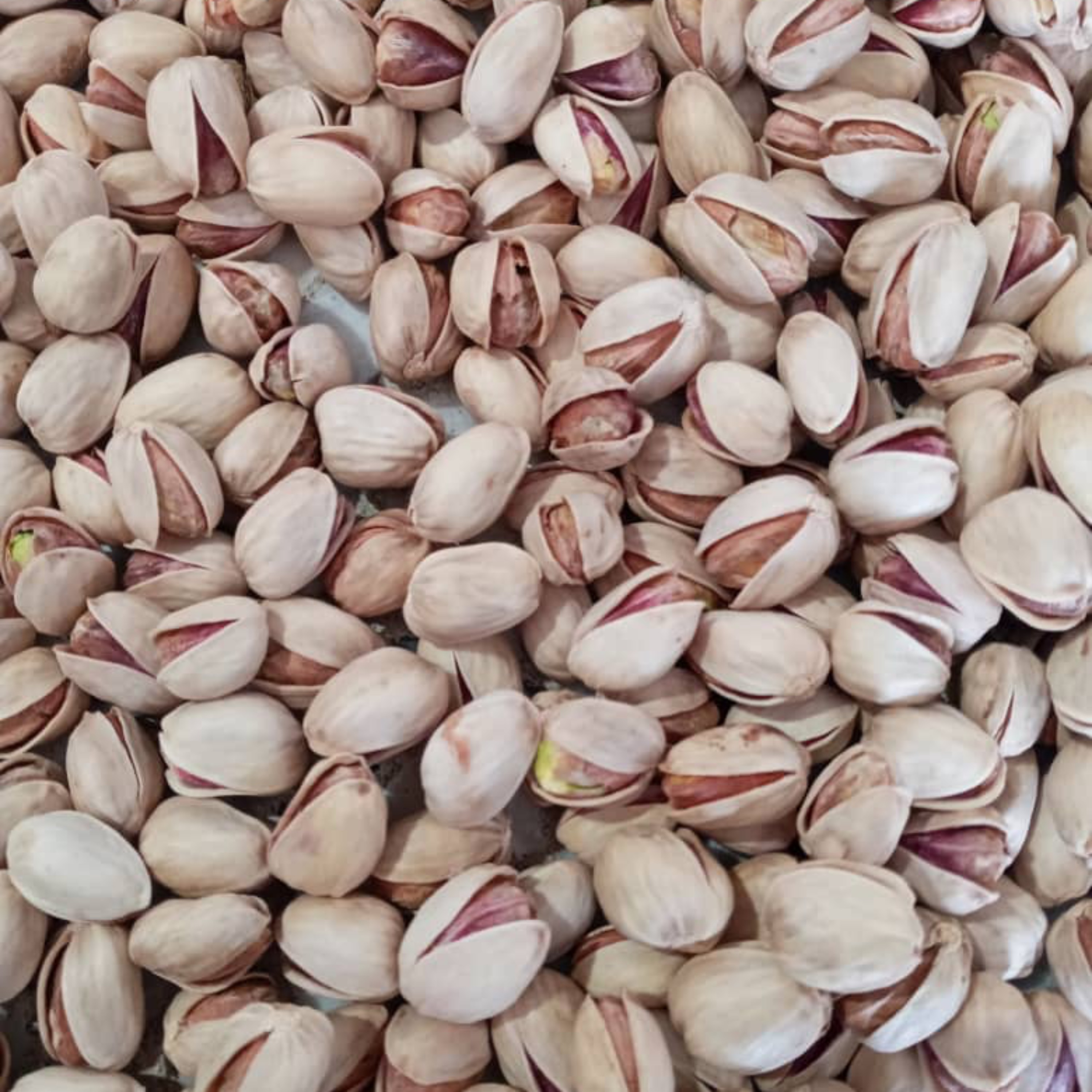 پسته فندقی بدون دهنبست و بدون پسته ریز کاملا مناسب داخل آجیل