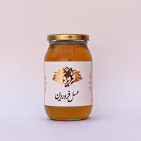 عسل گشنیز خام و طبیعی فروردین ساکارز 2.9 پرولین 822