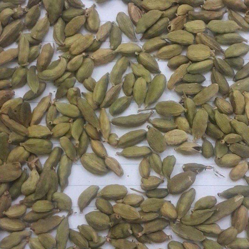 هل درجه یک 500گرم