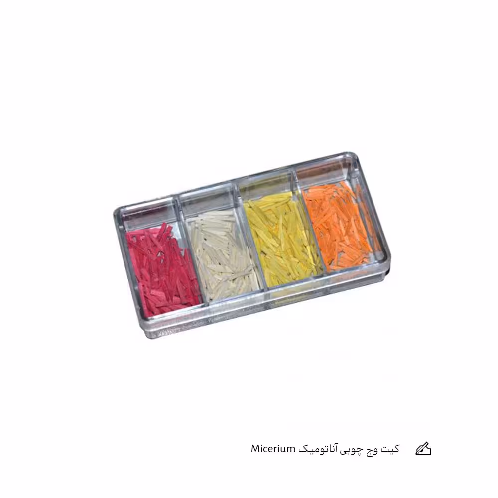 کیت وج چوبی آناتومیک Micerium