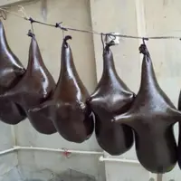 هیزه گوسفند درجه یک جادار