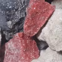 سوسن لبان قرمز برای بخور در آتش