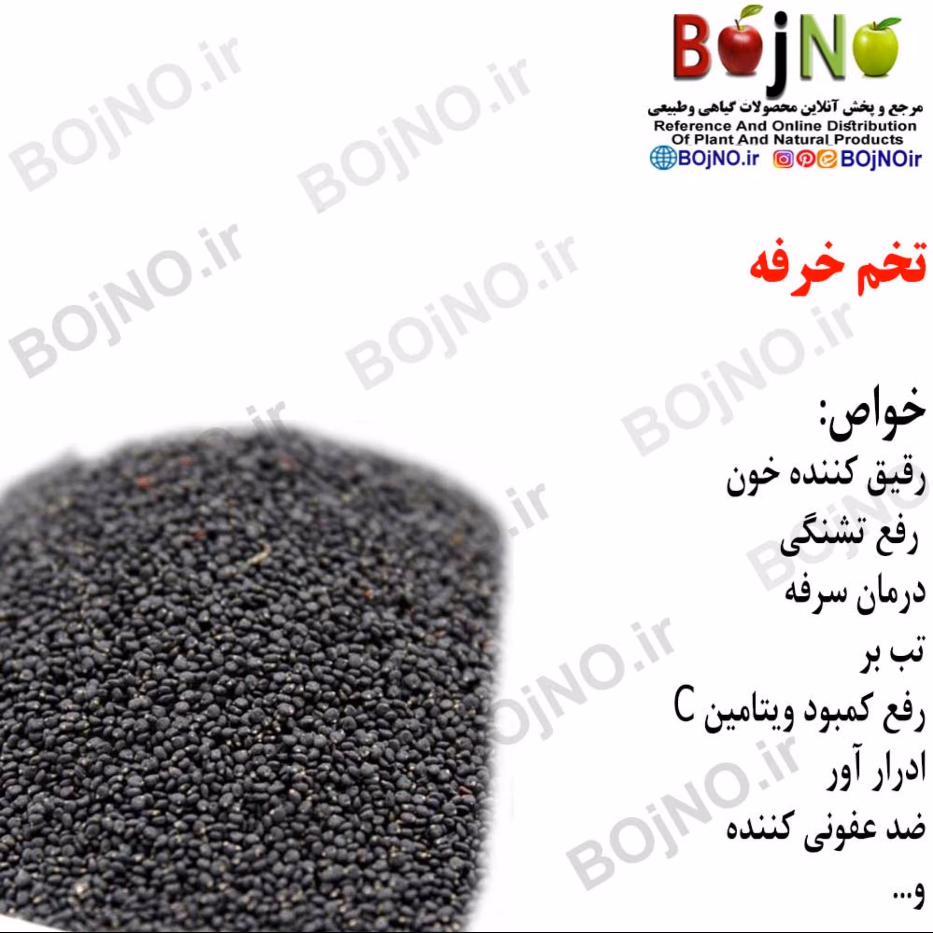 تخم خرفه(بسته 50گرمی)