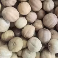 لیمو خشک(عمانی زرد) جهرم 200 گرمی(نسبتا درشت)