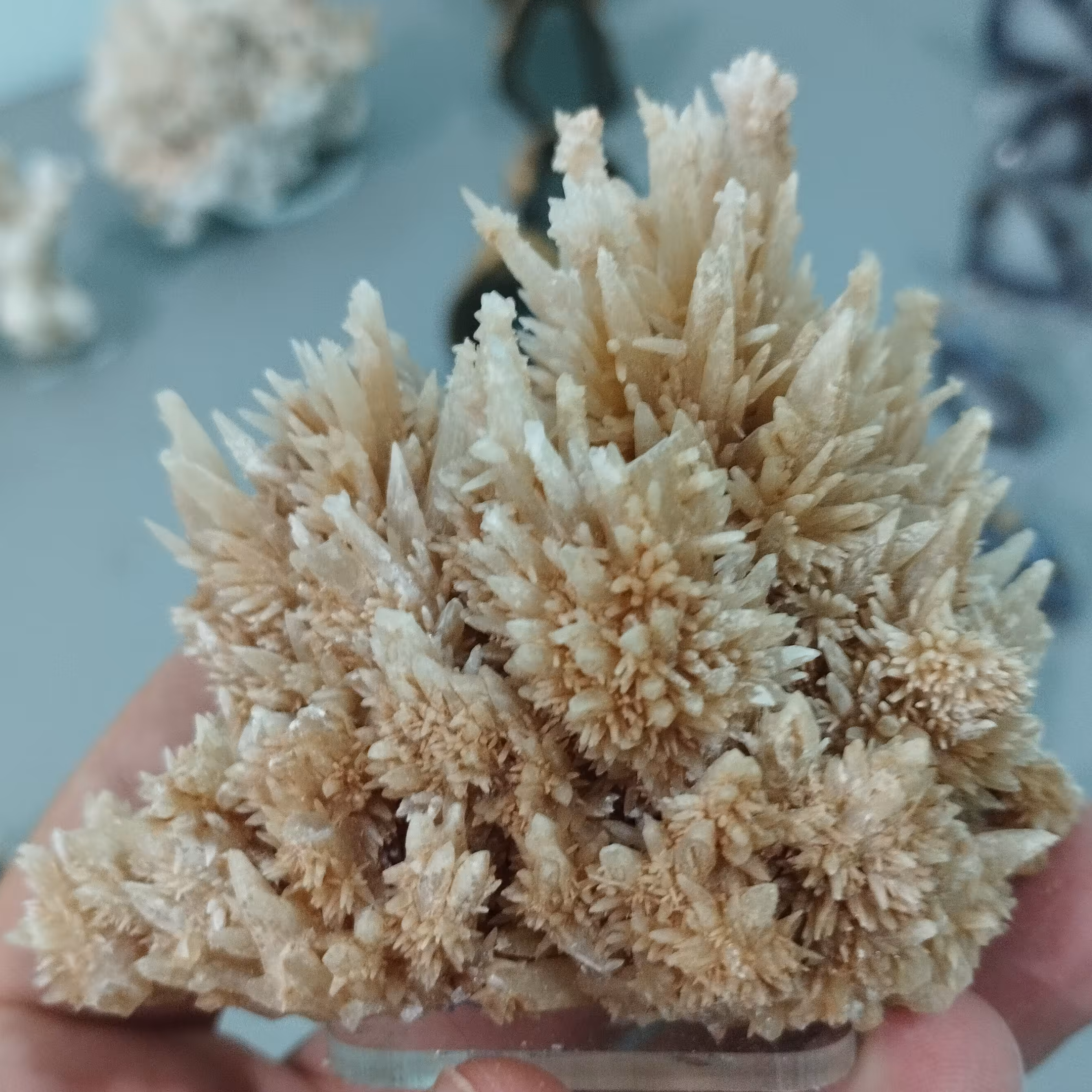 آراگونیت سوزنی قد  8سانتیمتر پهنا 9سانتیمتر پایه دار 