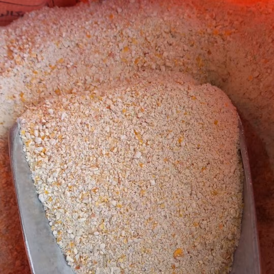 دان سوپر استارتر 