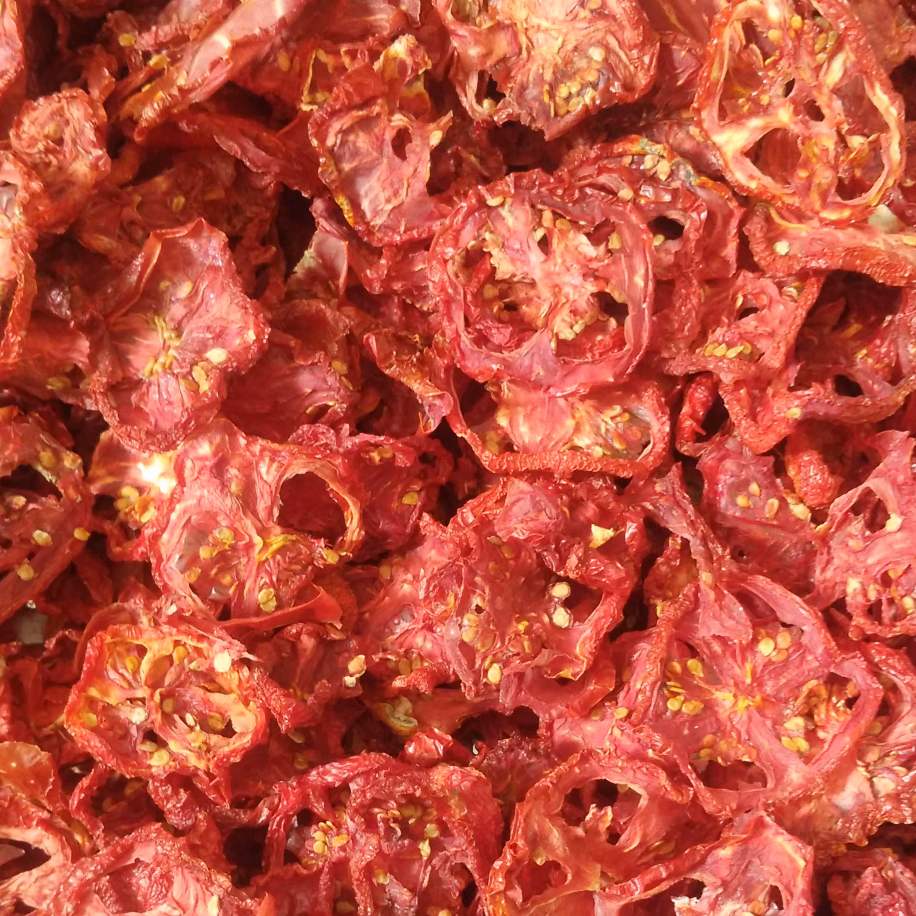 گوجه خشک اعلا ارسال باباربری