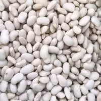 لوبیا سفید درشت