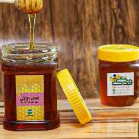 عسل دیابتی 5ستاره فدک (1000گرم)