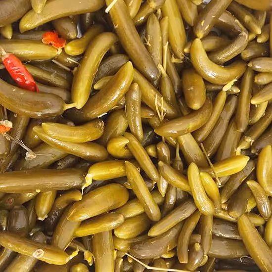 خیارشورخونگی ریز ومتوسط  خوشمزه وسالم وبهداشتی 