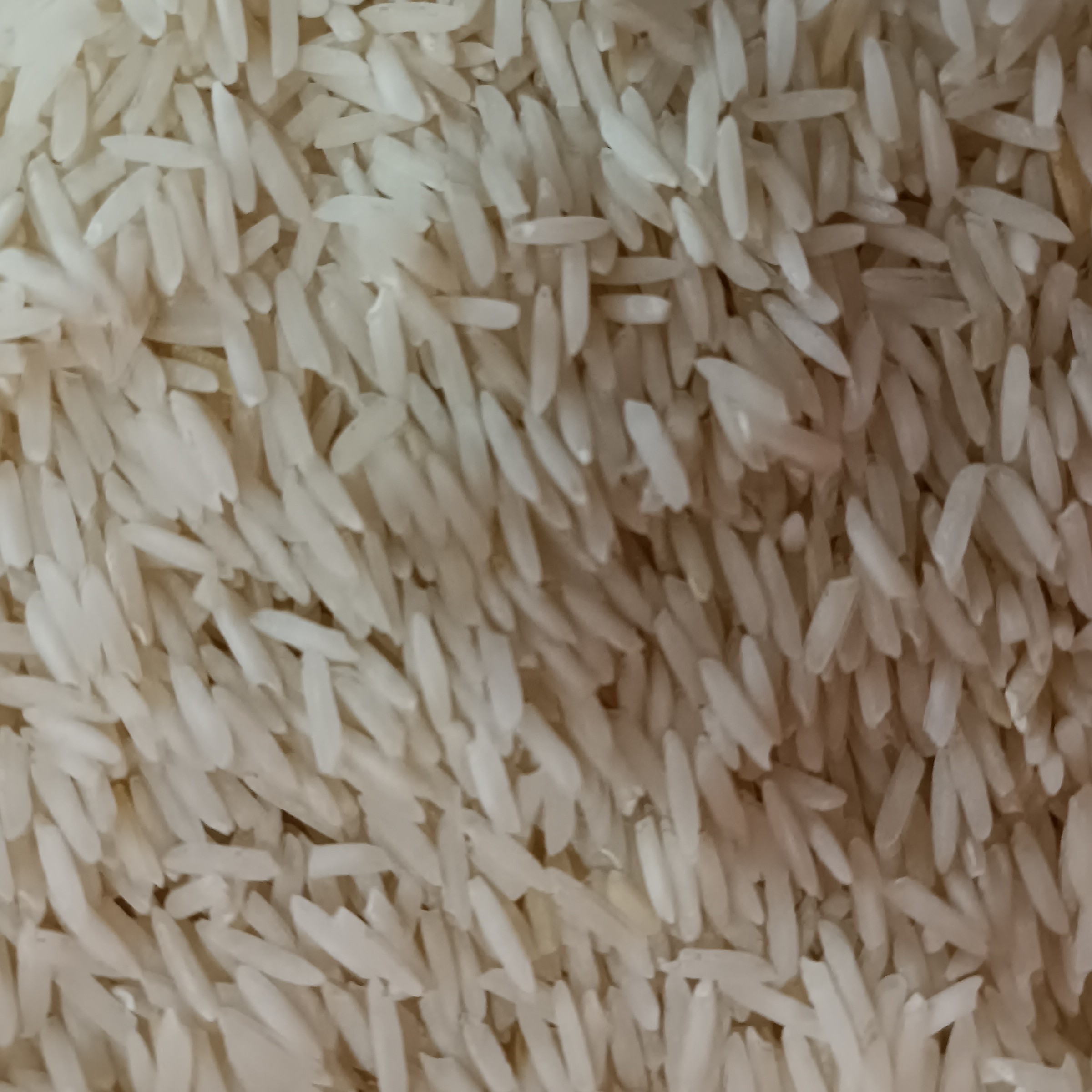 برنج پشت سرا