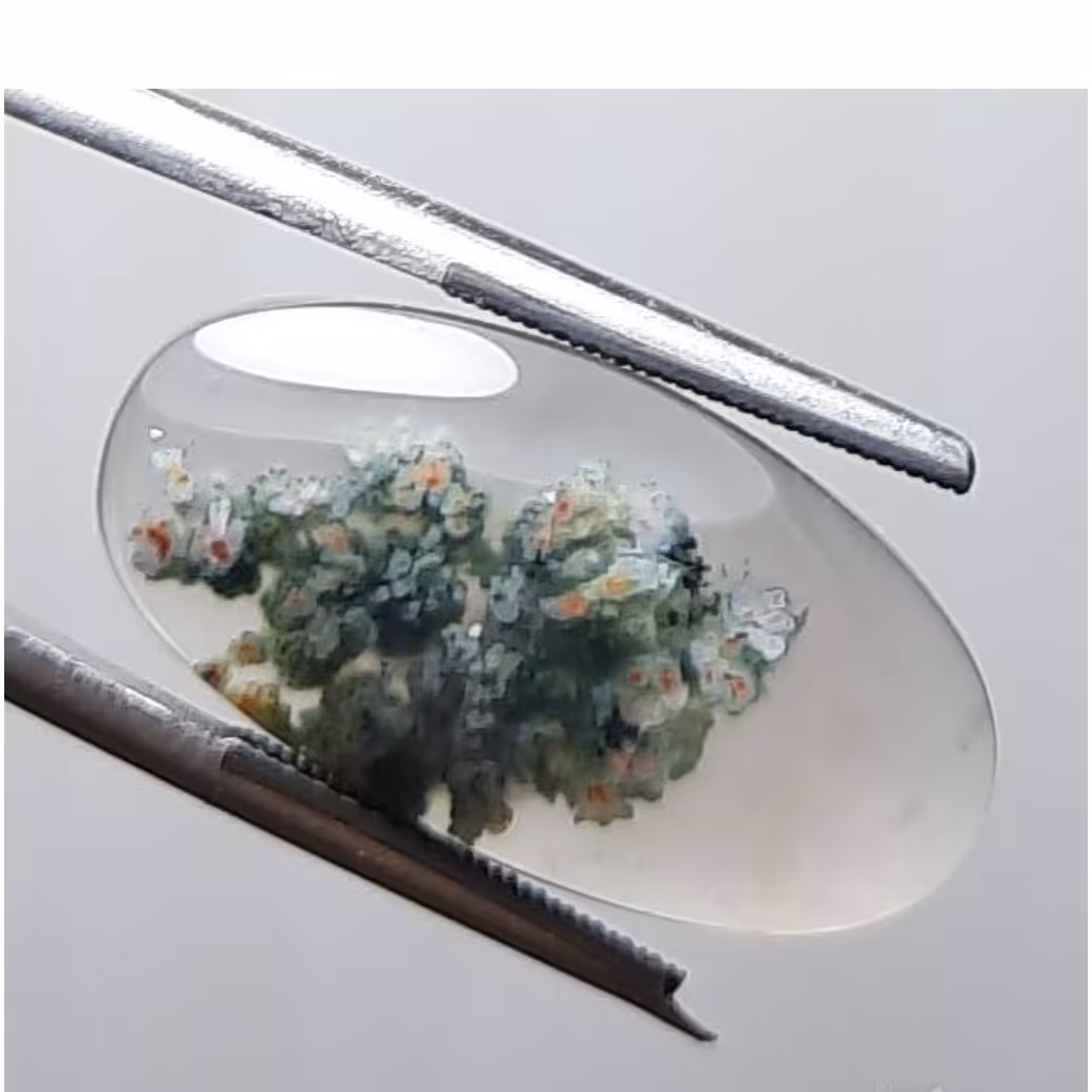 شجر شکوفه بهاری هفت رنگ اصل معدنی خراسان