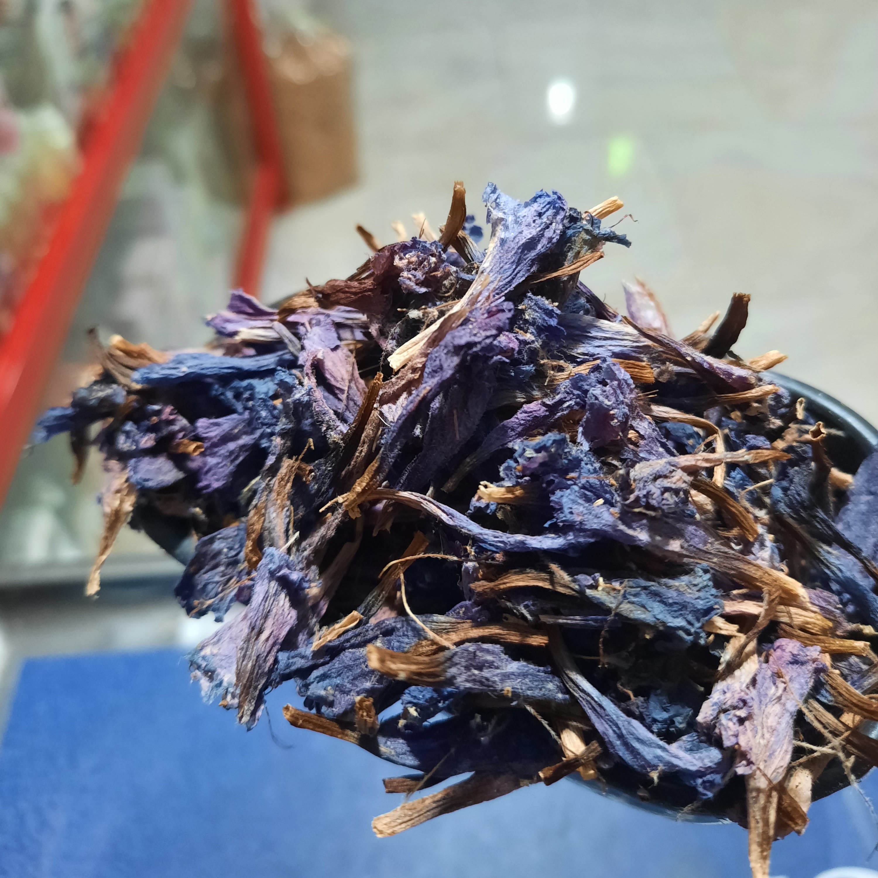 گل گاو زبان