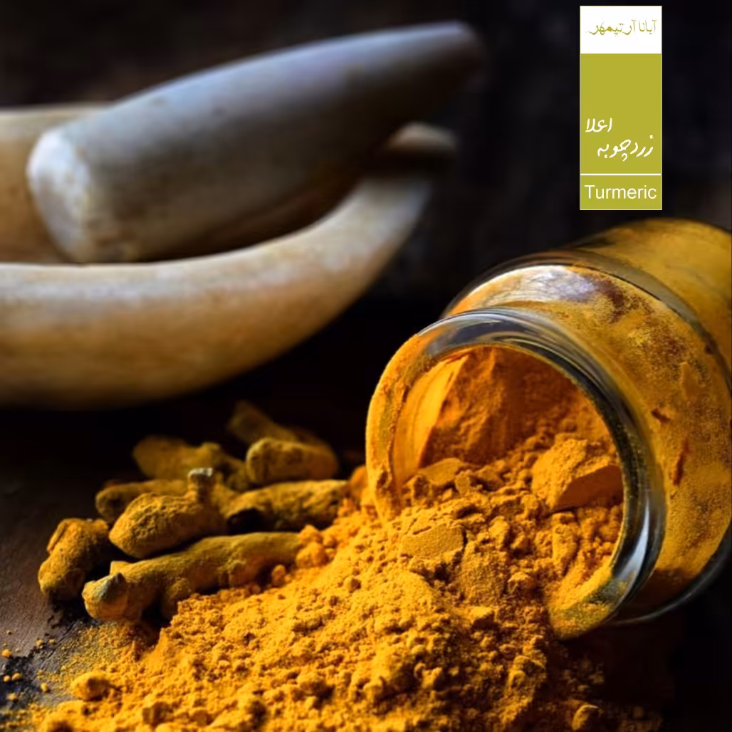 زرد چوبه اعلا بسته (یک کیلویی)