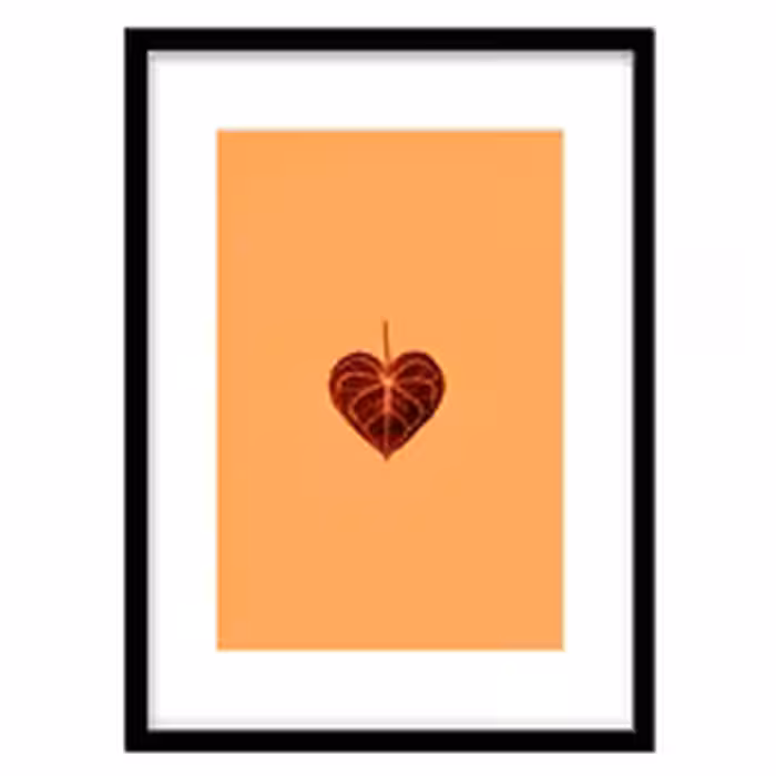 قیمت و خرید تابلو دکوراتیو مدل عکاسی مینیمال برگ کد 0440