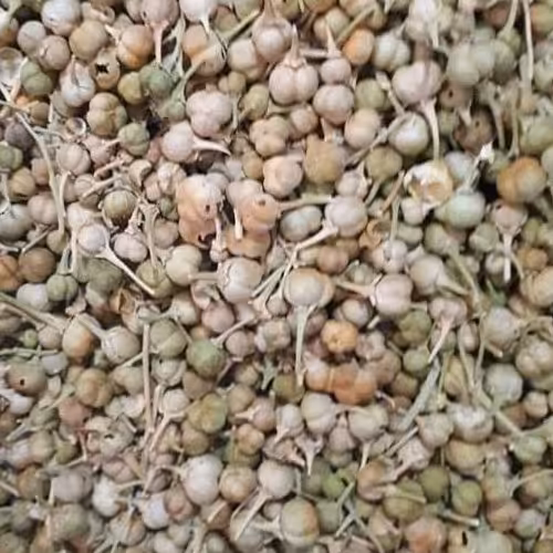 اسپند نخودی(دشتی) درجه یک(یک کیلو)