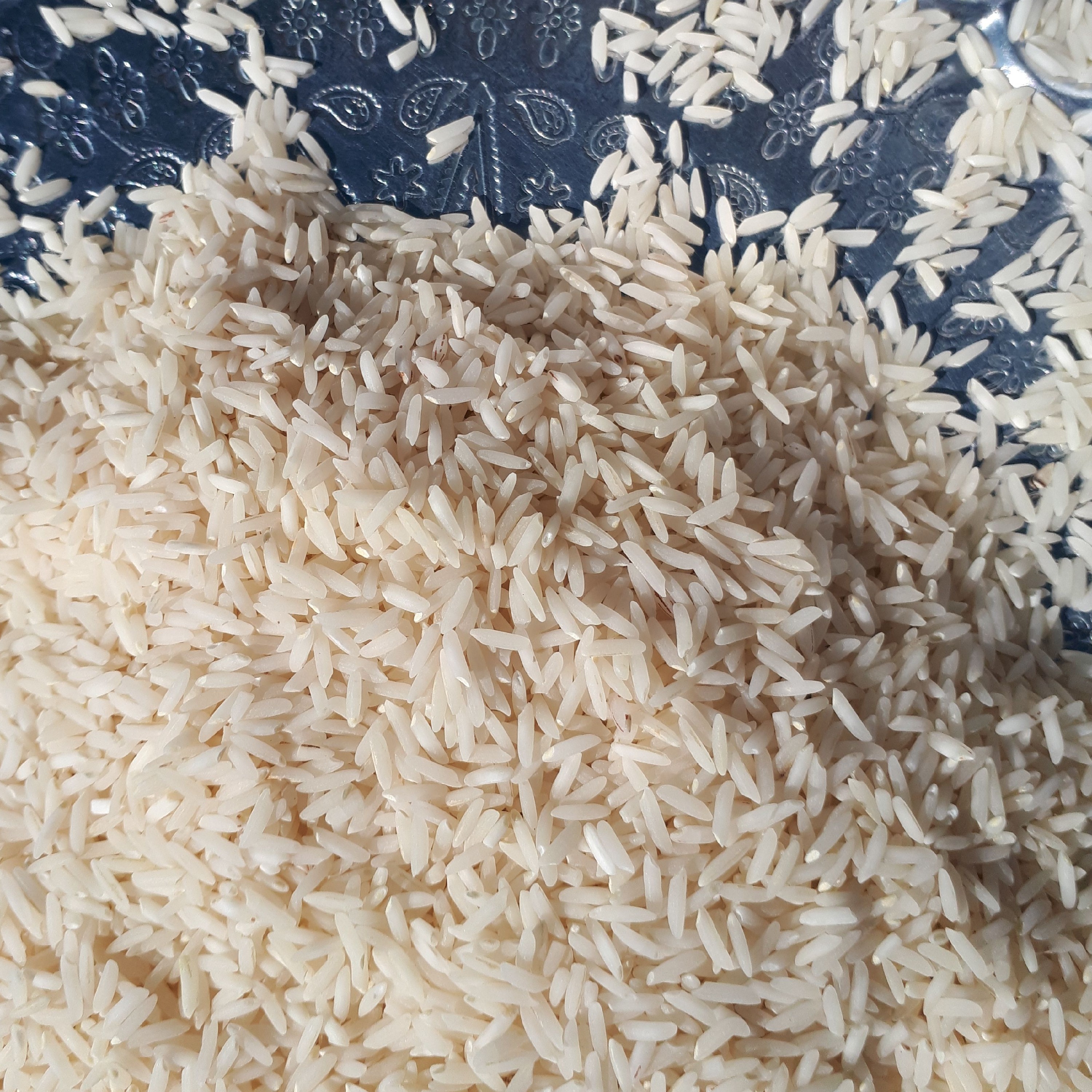 برنج طارم هاشمی گیلان 5 بسته 20 کیلویی،( ارسال با باربری و رایگان)