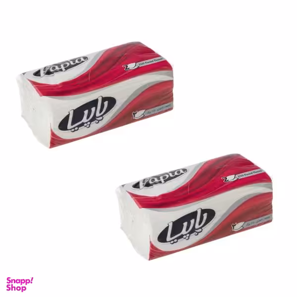 دستمال کاغذی 250 برگ پاپیا مدل اقتصادی بسته 2 عددی