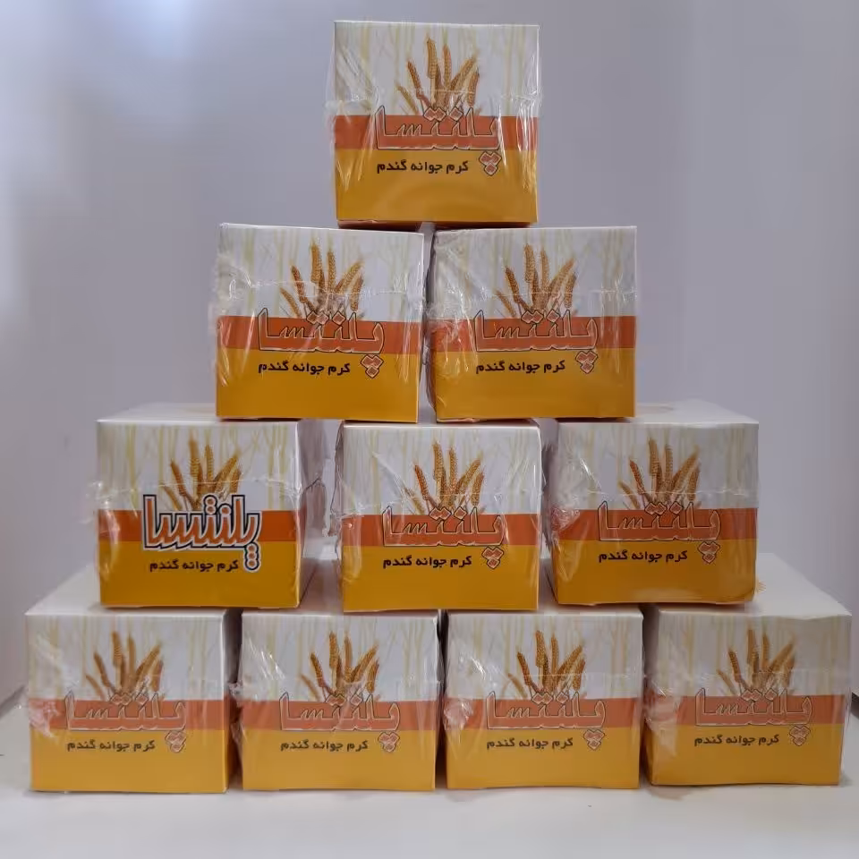 کرم جوانه گندم 