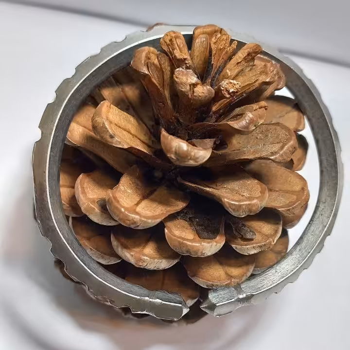 دستبند پاکستانی (کد 002) (خلخال پاکستانی کنگره دار)