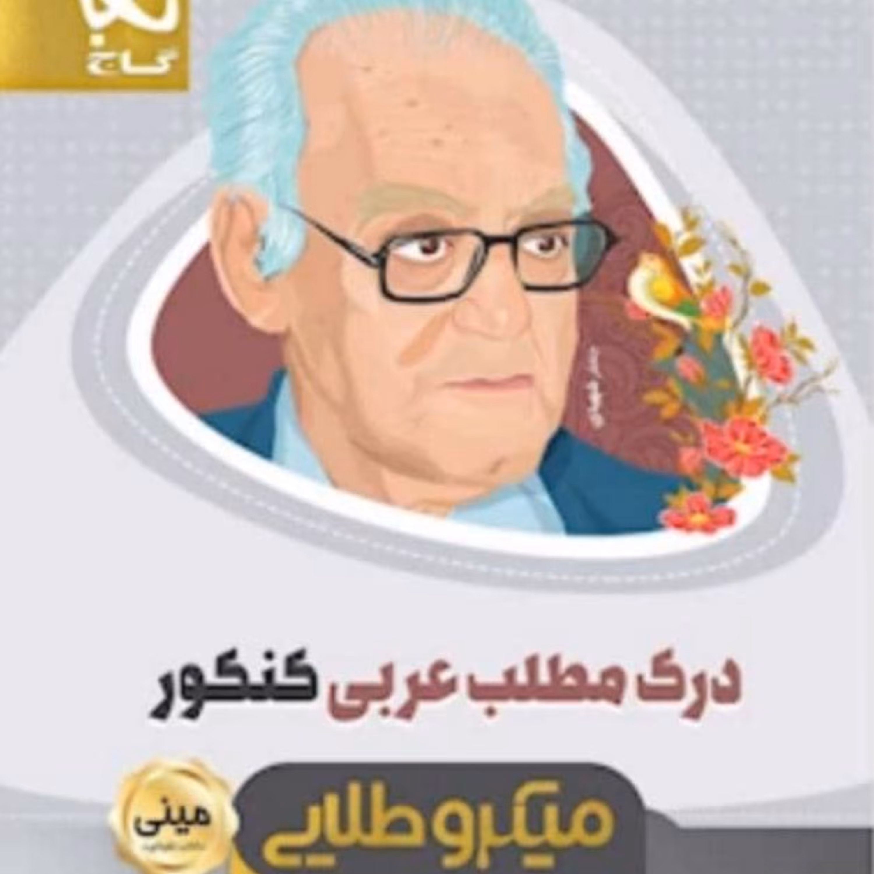 کتاب درک مطلب عربی جامع کنکور سری مینی میکرو طلایی گاج