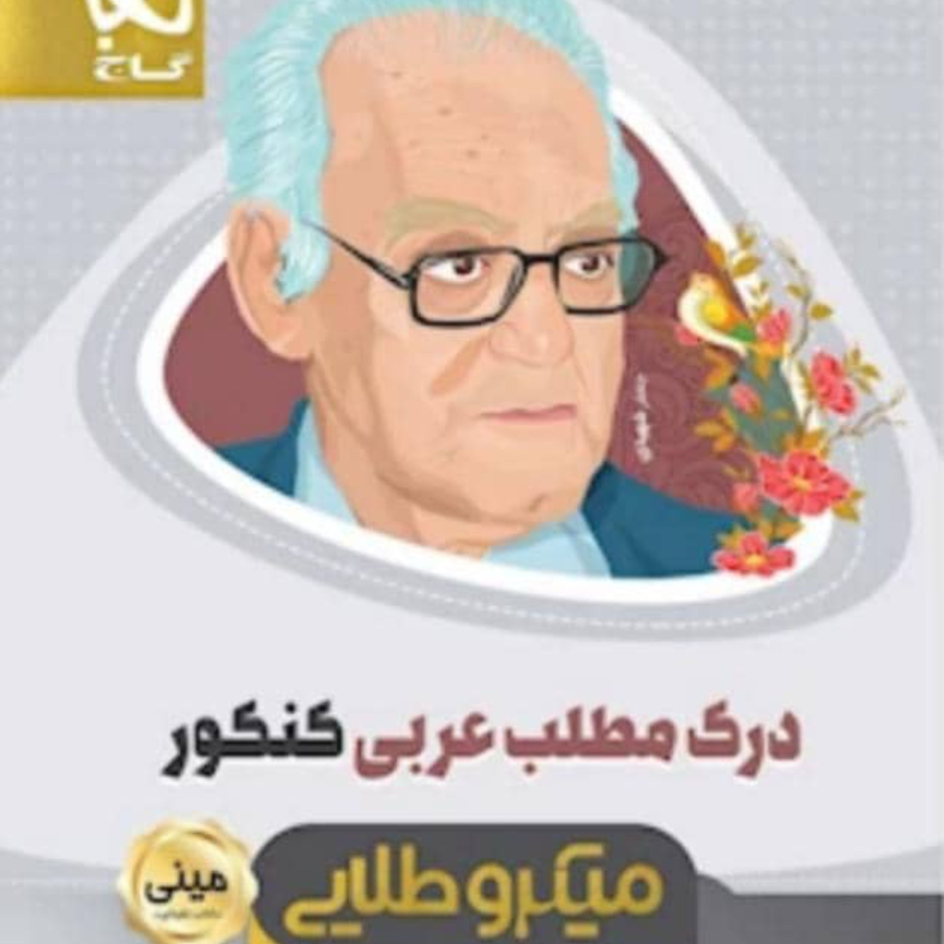 کتاب درک مطلب عربی جامع کنکور سری مینی میکرو طلایی گاج