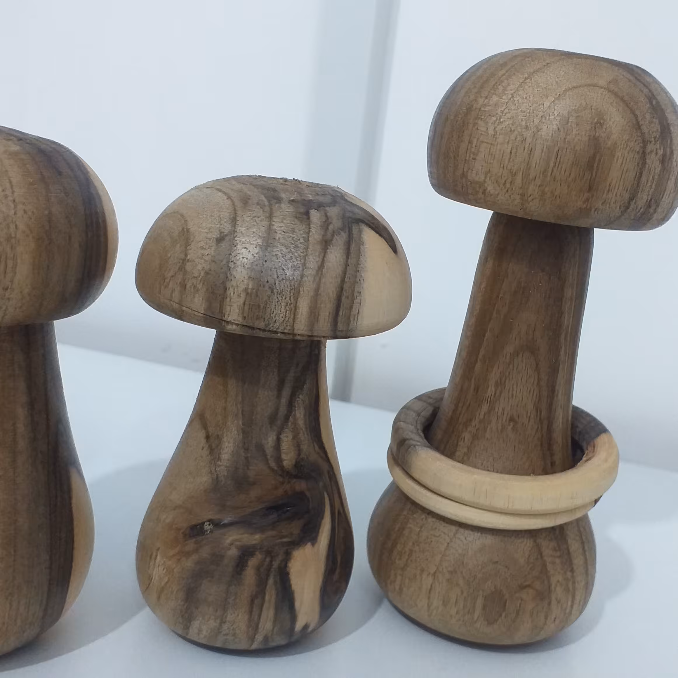 قارچ چوبی گردو