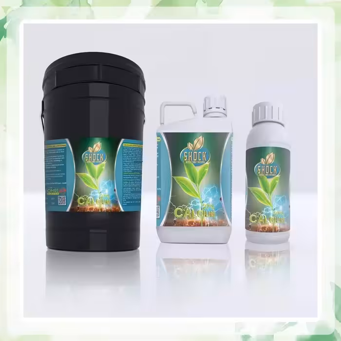 کود کلسیم مایع شوک