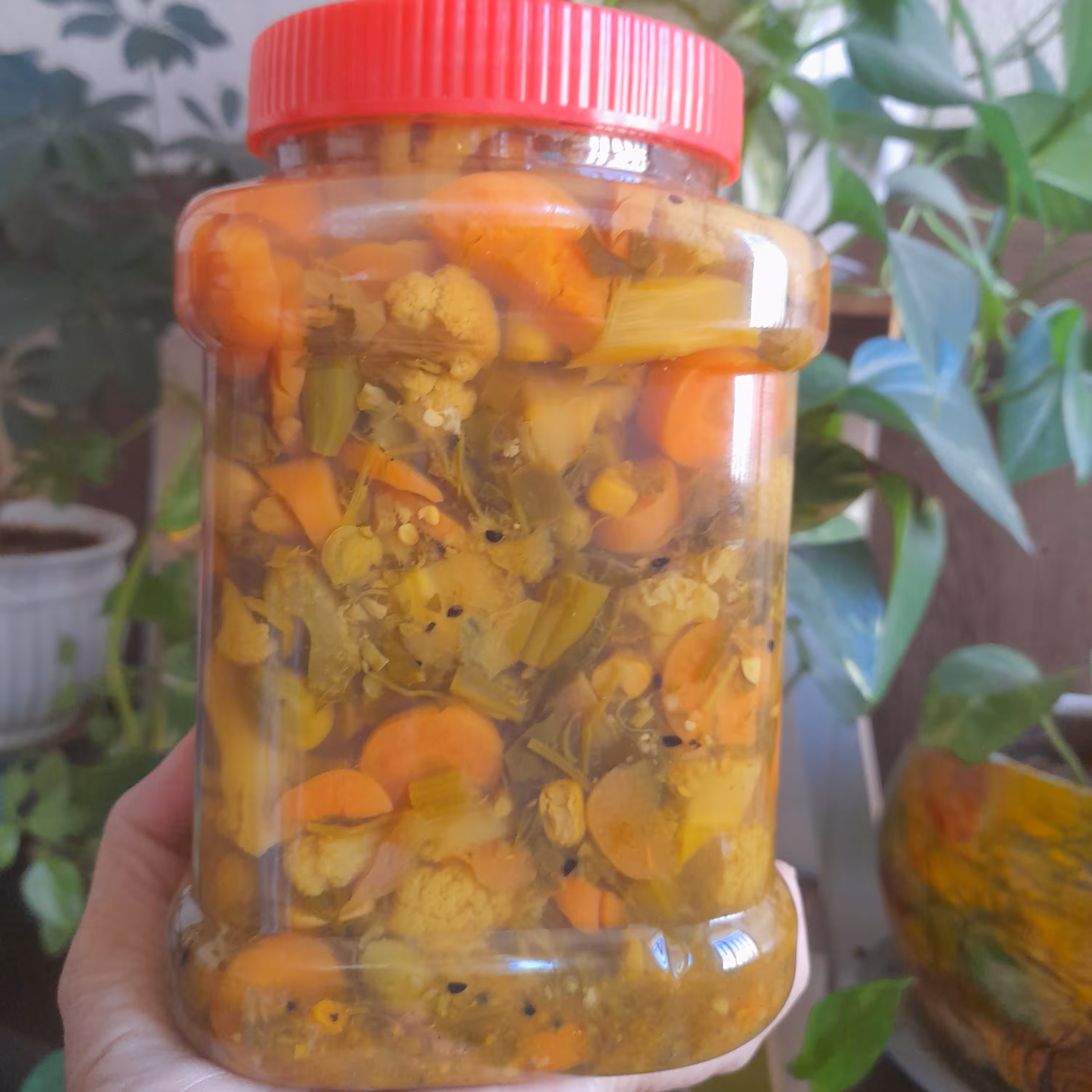 ترشی 12 قلم خانگی تهیه شده با سرکه انگور خانگی .ملس وبا کیفیت 