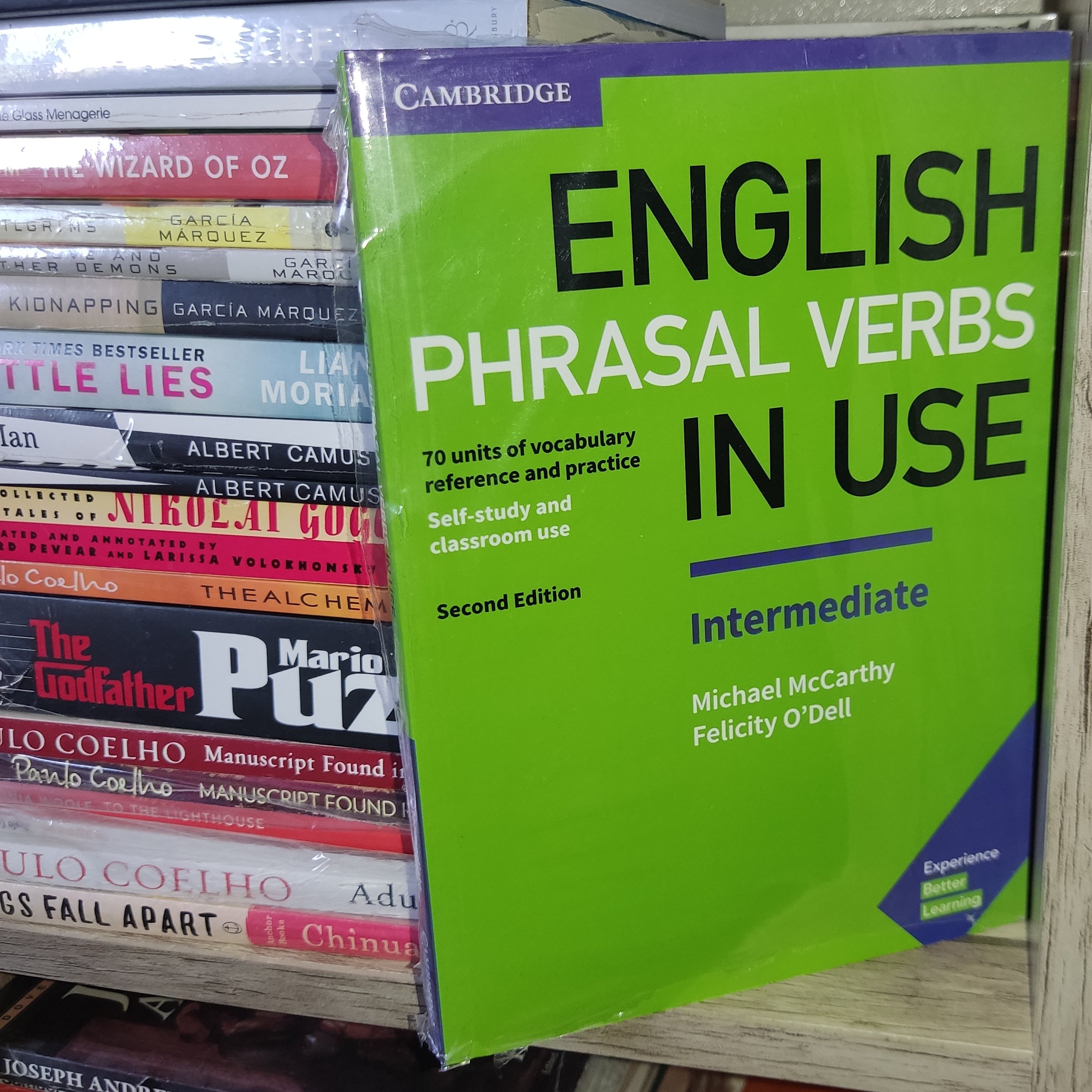 کتاب آموزشی English Phrasal Verbs in Use (سطح متوسط)