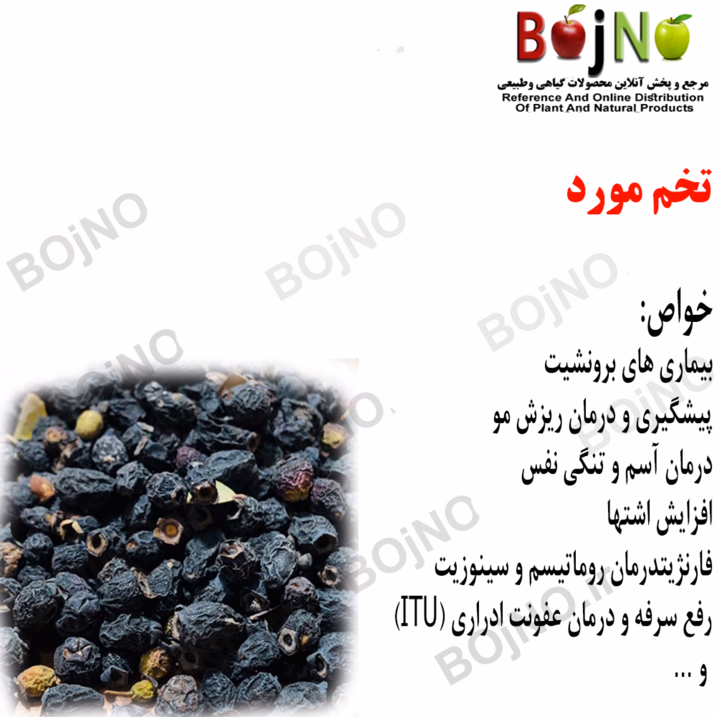 تخم مورد 100گرمی