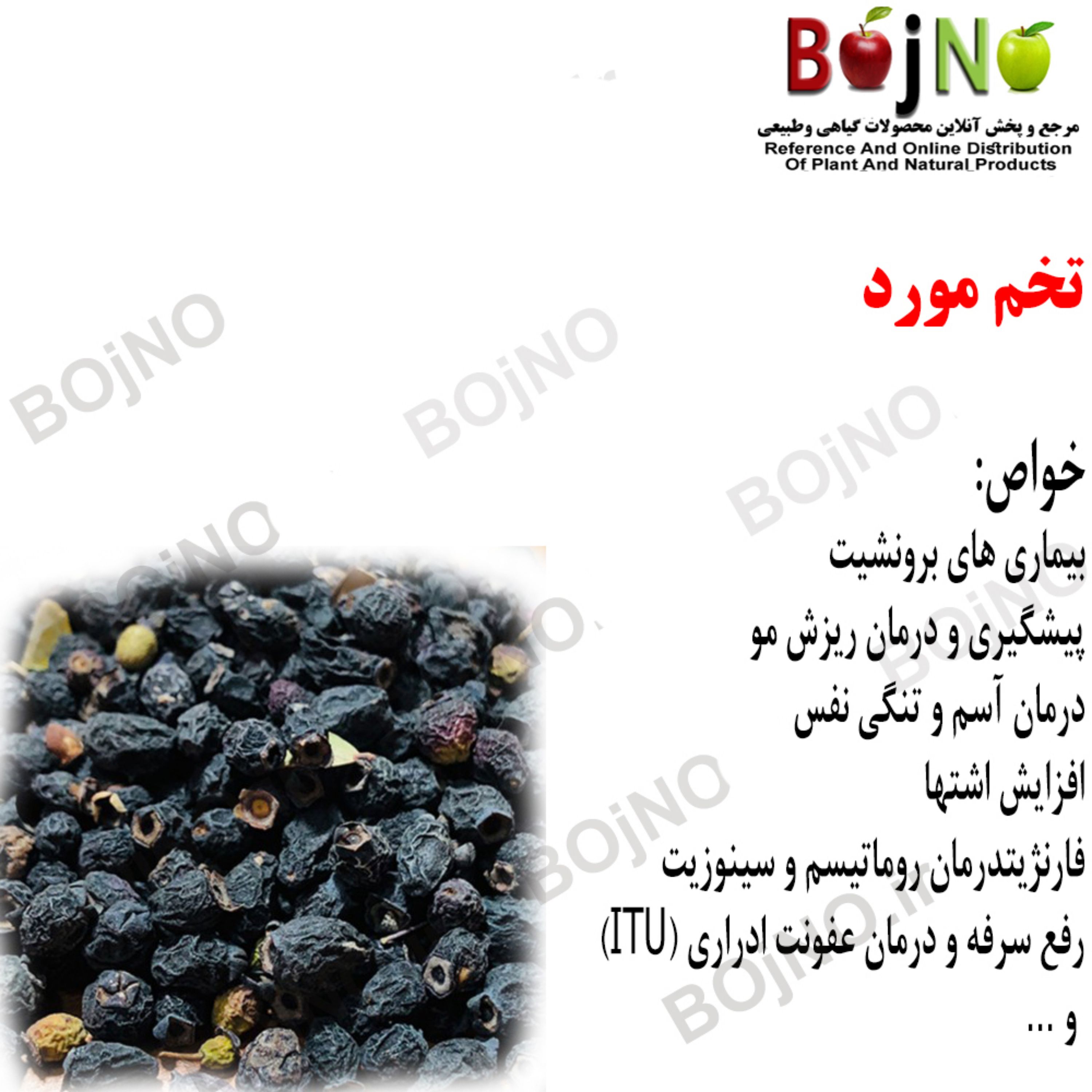 تخم مورد 100گرمی