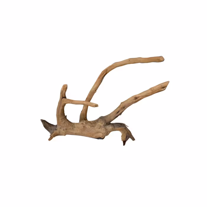 چوب تزیینی آبنوس کد 03 مخصوص آکواریوم مدل ریشه مانگرو