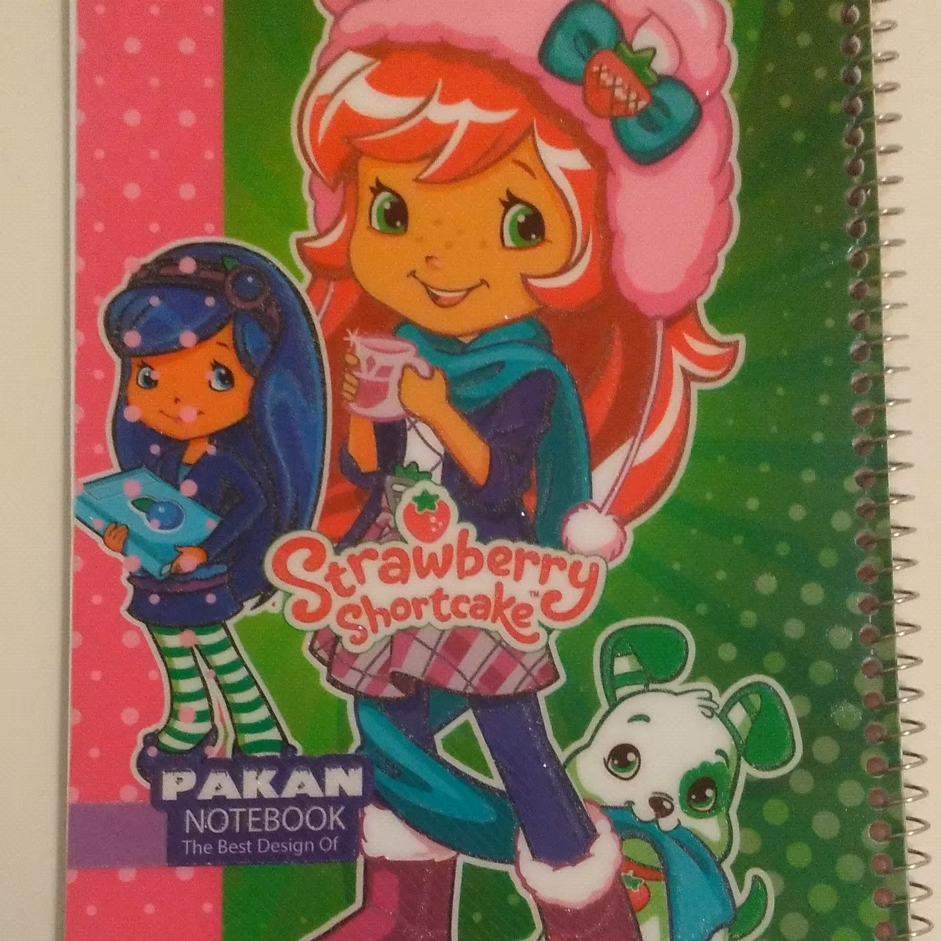 دفتر نقاشی سیمی 50 برگ طرح دختر انه جلد طلقی