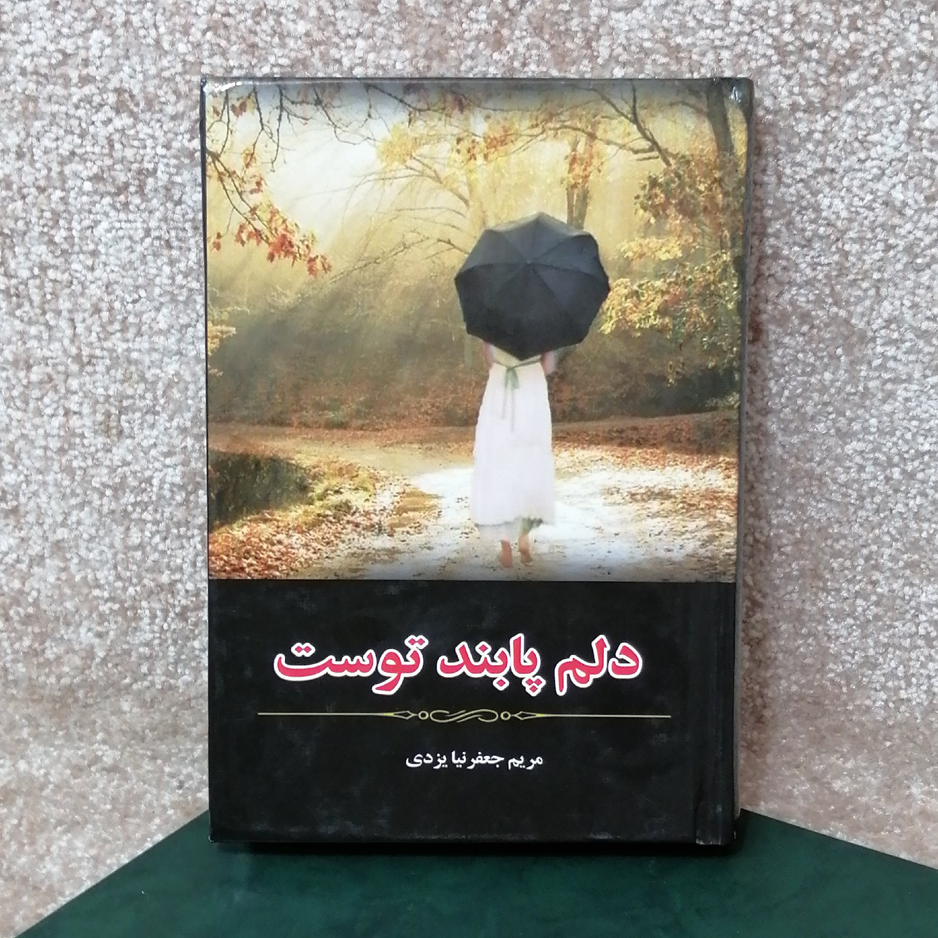 کتاب دلم پابند توست اثر مریم جعفرنیا یزدی
