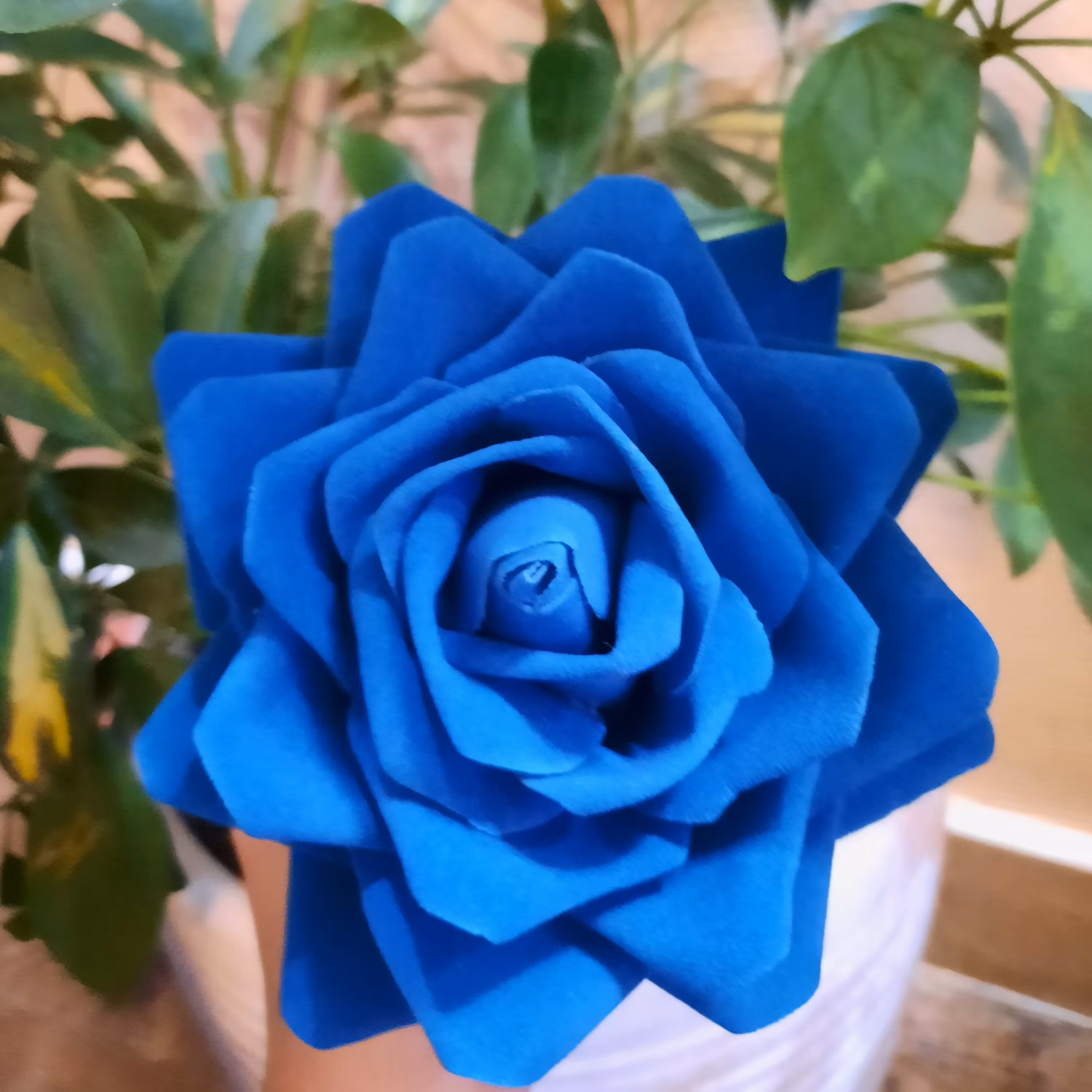 گل رز مخمل سایز خیلی بزرگ با قطر 15 سانت(ارسال بالای 5عدد)