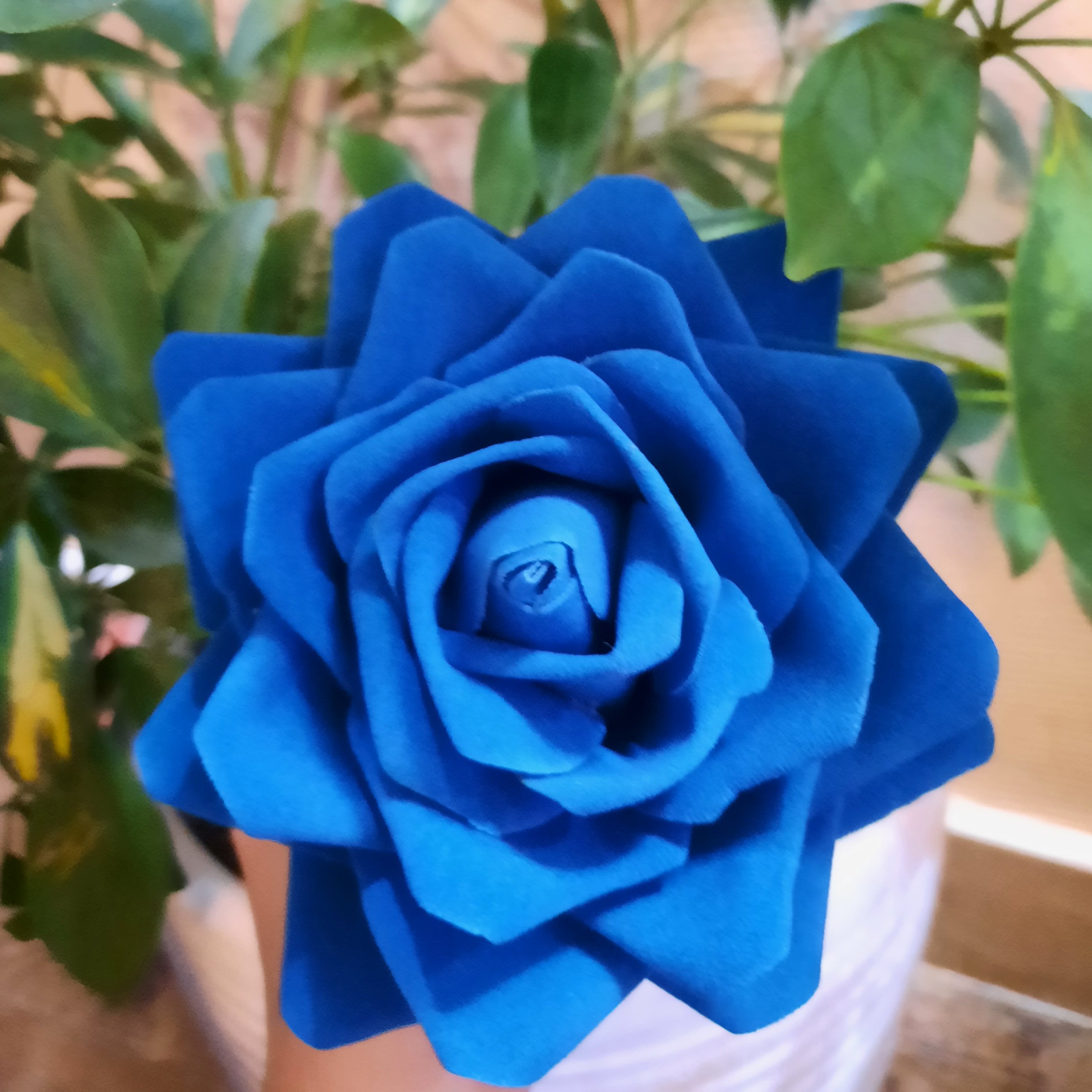 گل رز مخمل سایز خیلی بزرگ با قطر 15 سانت(ارسال بالای 5عدد)