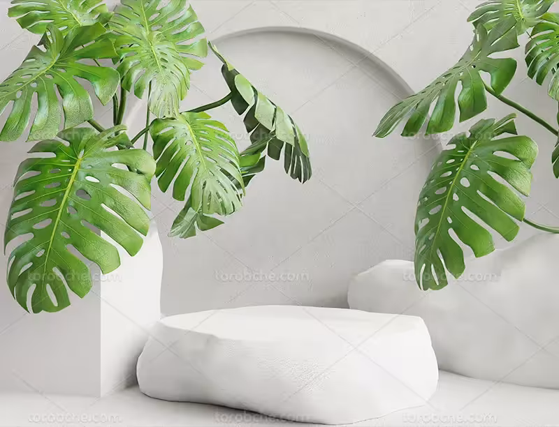 بک گراند عکاسی ارائه محصول سنگ و برگ | گرافیک با طعم تربچه