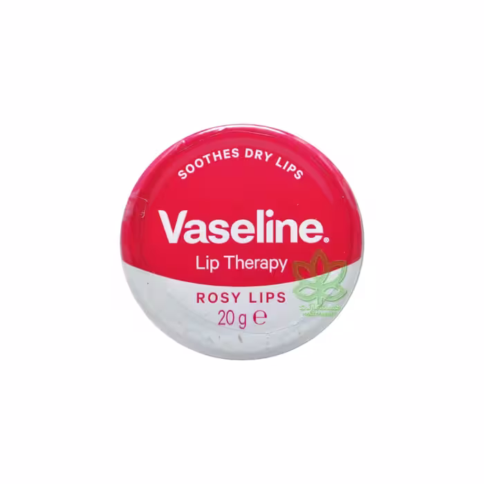 بالم لب مراقبت روزانه 20 گرم وازلین - vaseline