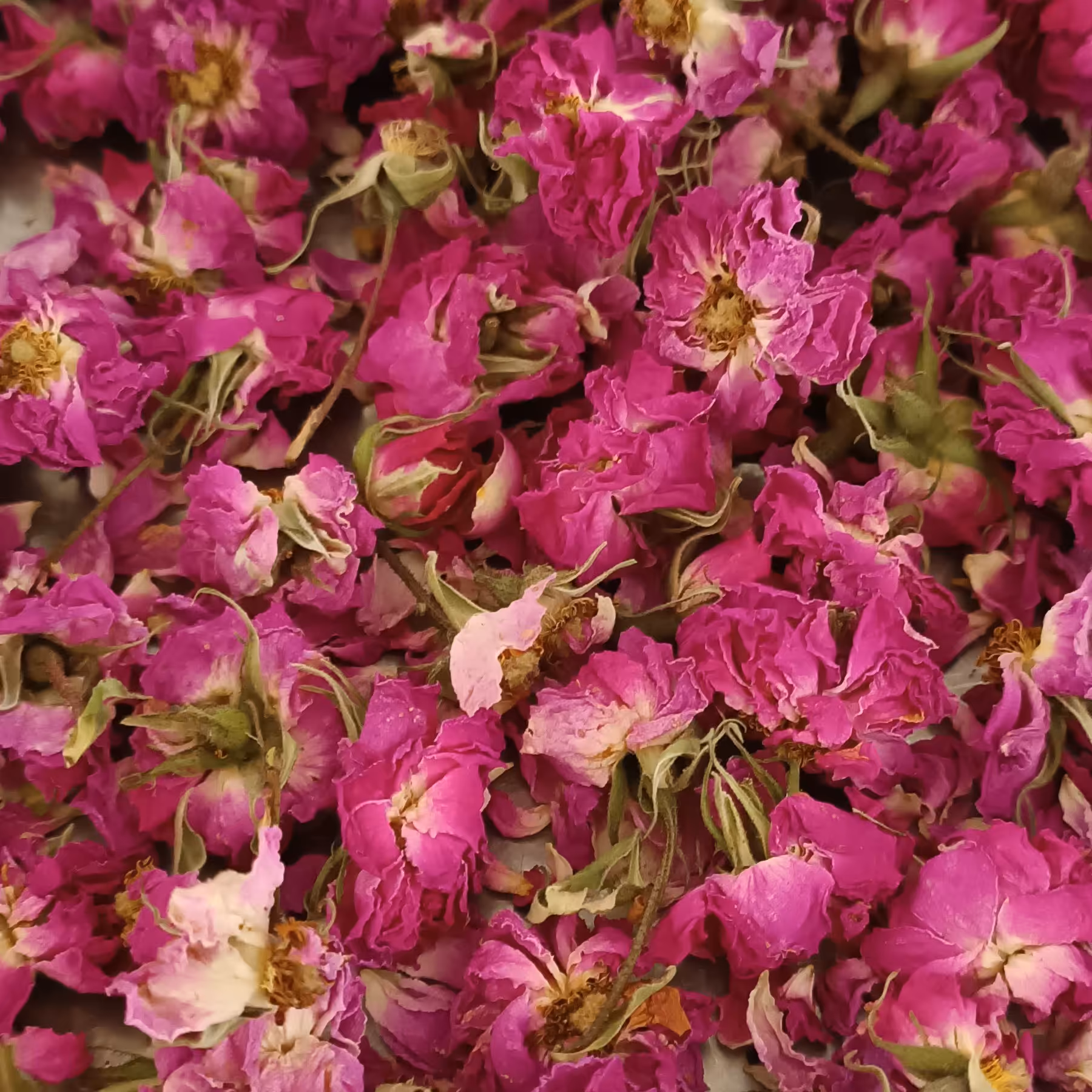 گل محمدی 1000 گرم