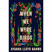 کتاب زبان اصلی When We Were Birds اثر Ayanna Lloyd Banwo انتشارات Doubleday
