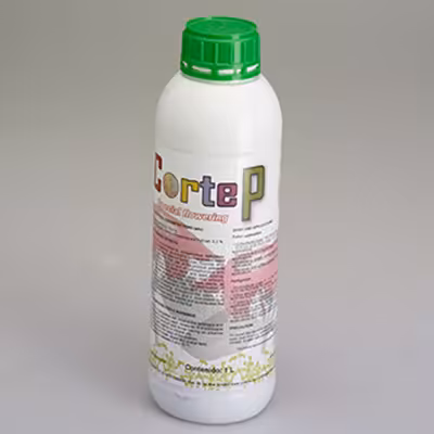 کود فسفر بالا کورت اسپانیا