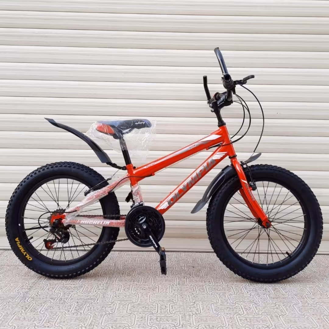 .. دوچرخه سایز 20 ، مارک المپیا  ساحلی ، دنده ای ،  لاستیک پهن ،  مدل MICHELIN 