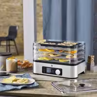 میوه خشک کن دبلیو ام اف مدل WMF KUCHENminis Dörrautomat Snack to go