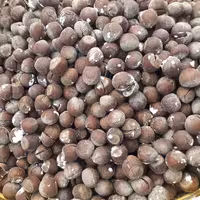 فندق سنتی با پوست(1000)