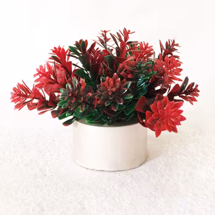 گلدان میخک رنگ گل قرمز بسته 2 عددی ابعاد 10 در 10 سانتی متر