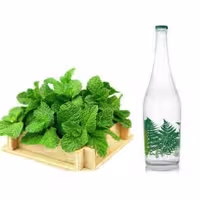 عرق نعنا ممتاز دو آتیشه (1 لیتری) کارون