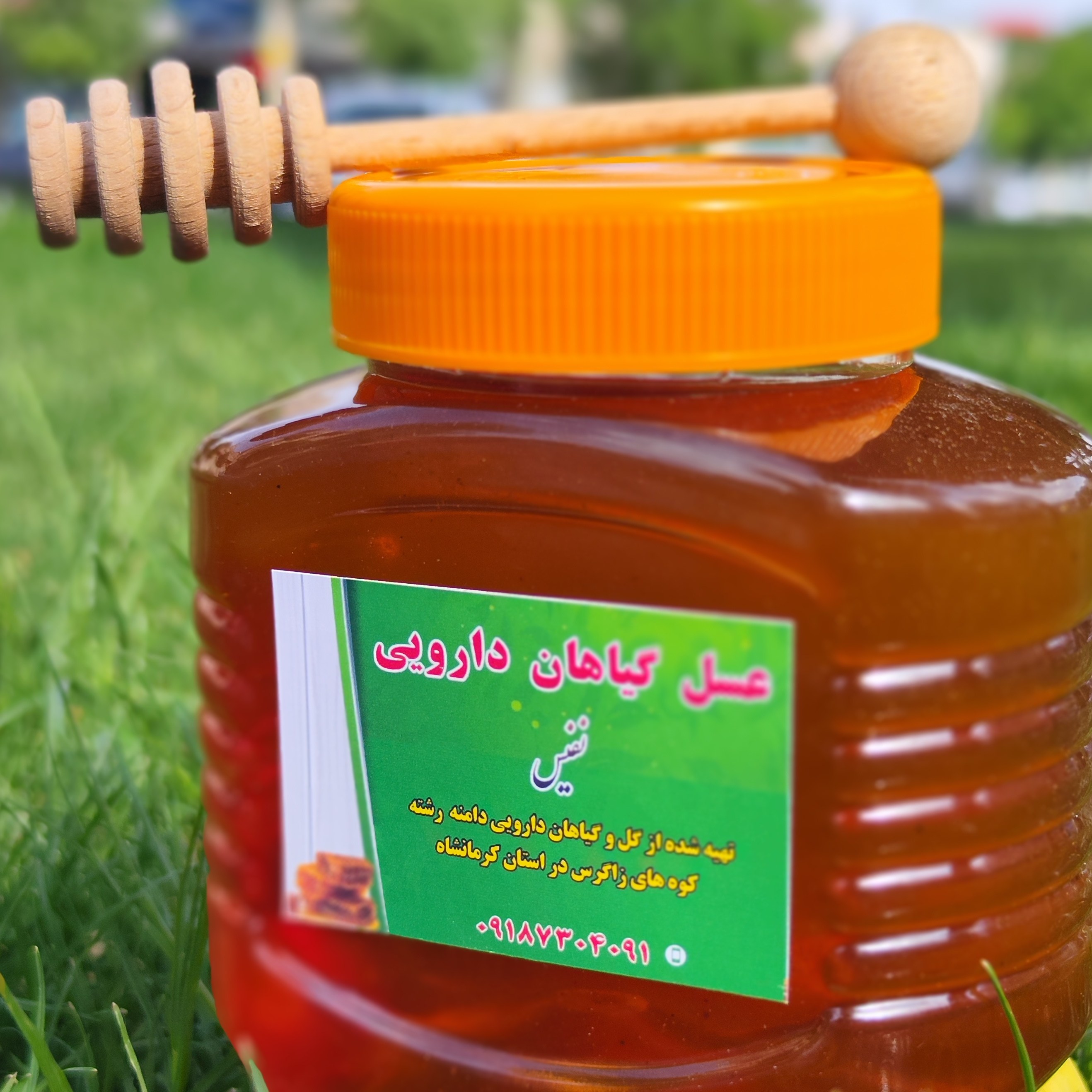 عسل گیاه گشنیز نفیس